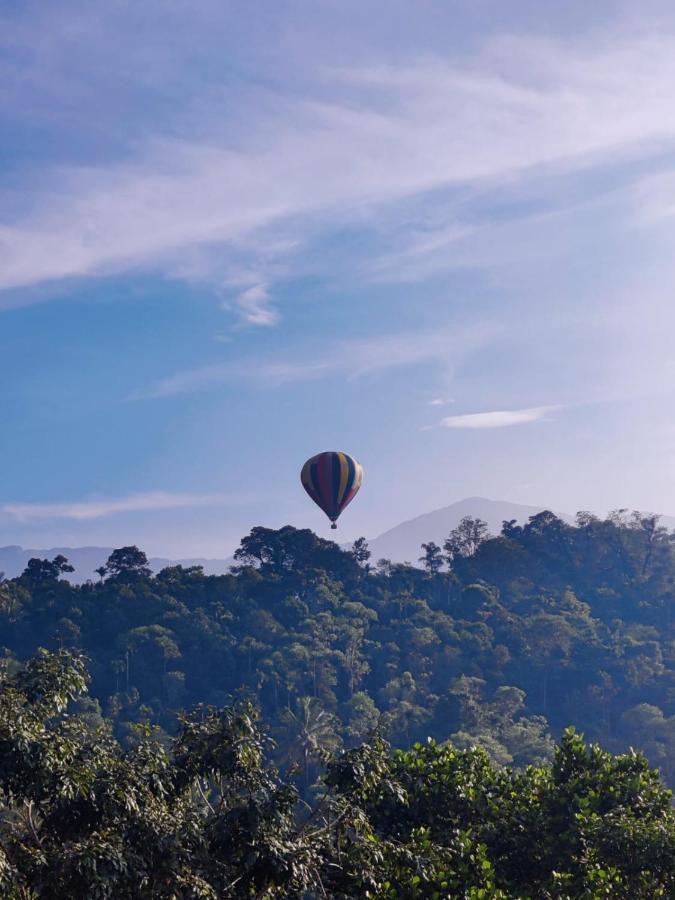 Munnar Bnb Panzió Kültér fotó